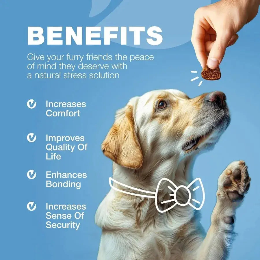 Hemp Calming Chews for Dogs – Anxiety Relief with Melatonin, Chamomile & Valerian Travel Pack