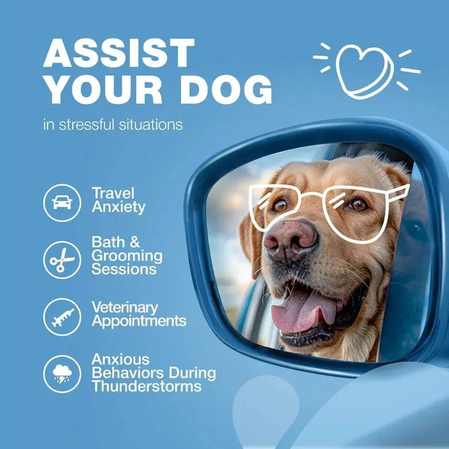 Hemp Calming Chews for Dogs – Anxiety Relief with Melatonin, Chamomile & Valerian Travel Pack