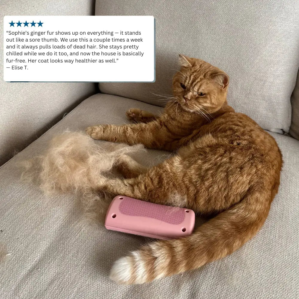 GroomPro™ - Pet Hair Remover
