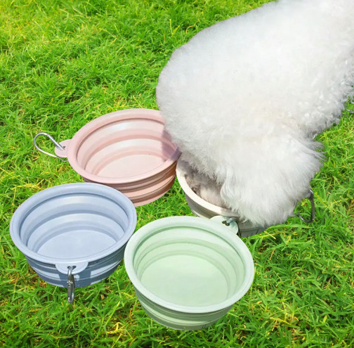 The Ultimate Collapsible Travel Pet Bowl for Your Next Adventure