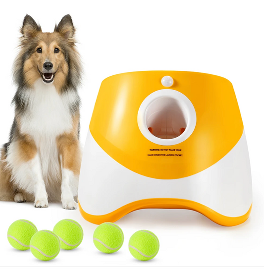 Best Automatic Dog Ball Launcher | Interactive Fetch Toy