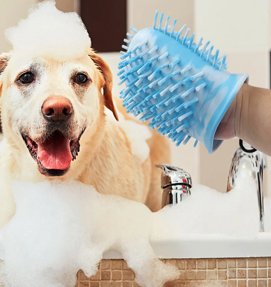 Keep Your Home Clean and Your Dog Happy with a Portable Dog Paw Washer