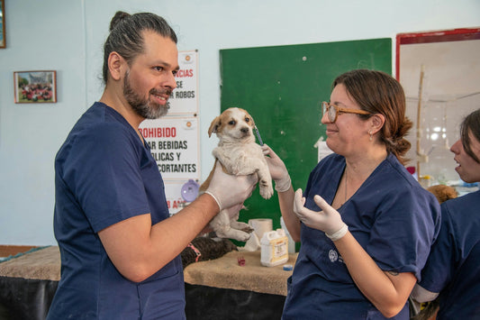 What to Pack for Your Pet’s First Vet Visit
