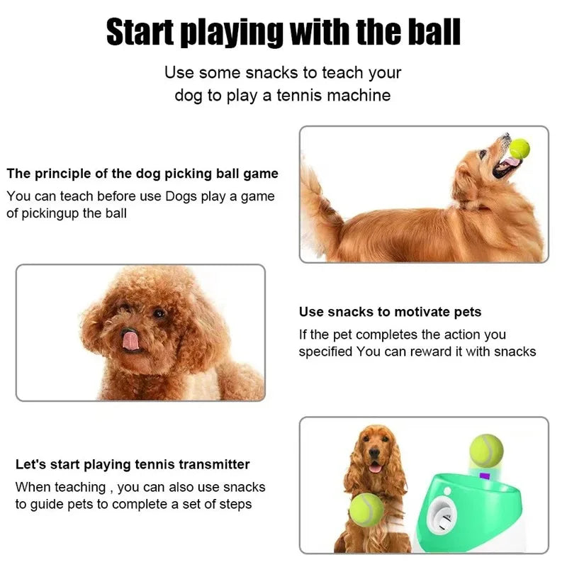 Rechargeable Automatic Dog Ball Launcher – Adjustable Distance for Endless Fetch Fun!