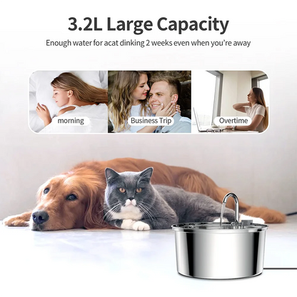 Stainless Steel Pet Water Fountain – Ultra-Quiet, 3L Automatic Dispenser with Advanced Filtration