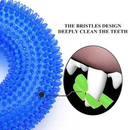 Durable Dog Chew Toy – Dental Care & Treat Dispenser