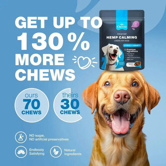 Hemp Calming Chews for Dogs – Anxiety Relief with Melatonin, Chamomile & Valerian  Travel Pack