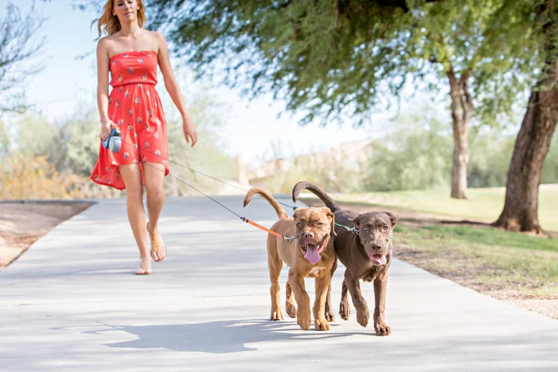 Reflective Dual Retractable Dog Leash – 360° No-Tangle Lead with LED Lights for Small Dogs & Cats