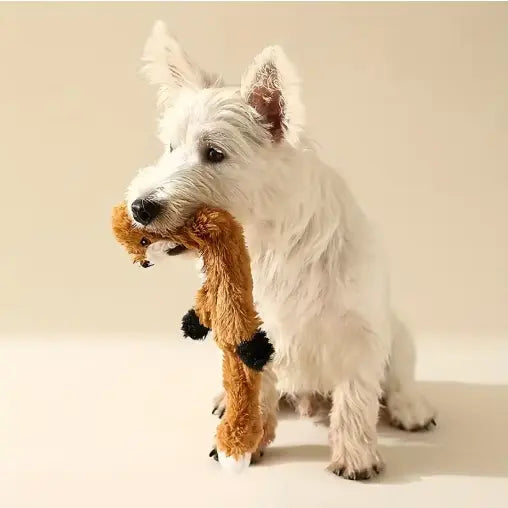 Plush Chew Toy for Dogs – Durable, Safe & Comforting
