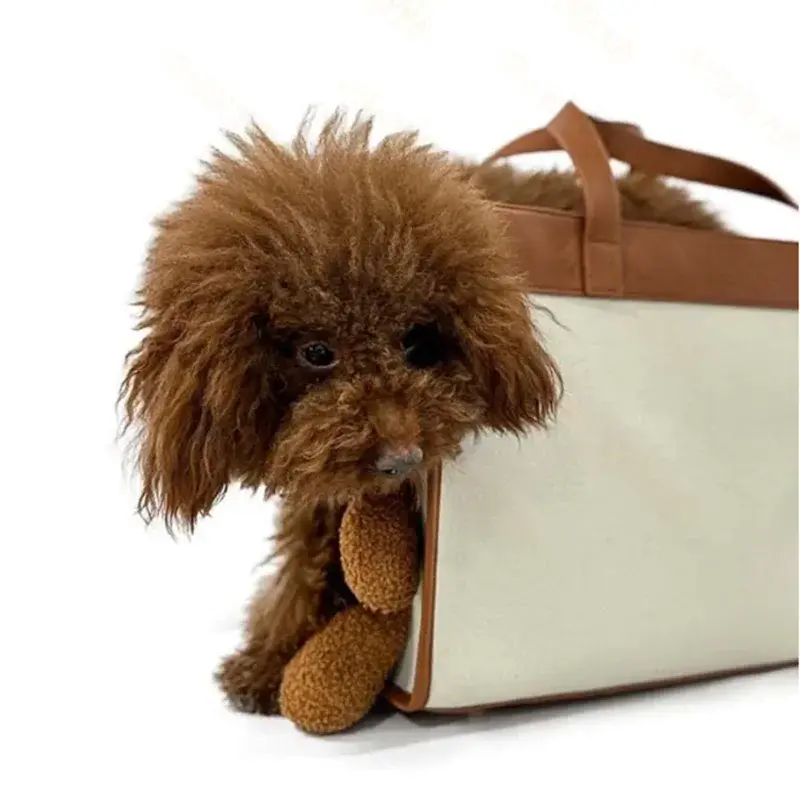 Pet Carry Handbag
