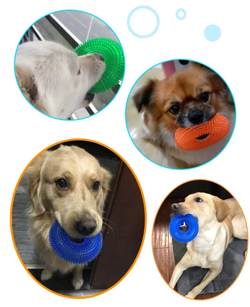 Durable Dog Chew Toy – Dental Care & Treat Dispenser