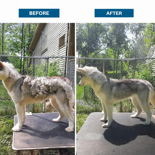 GroomPro™ - Pet Hair Remover